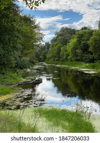 the river flows curving between the trees