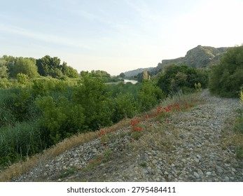 A river flows gently through a lush area with green trees lining the banks. Red flowers bloom along a pebbled path. The sun is low, casting warm light across the landscape.