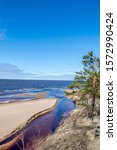 River flows to seas with a tree of pine