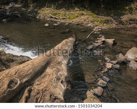 River flows in summer day. This river is in Curug Layung, Indonesia. Which is so beautiful and has good vibes for relaxing your mind.