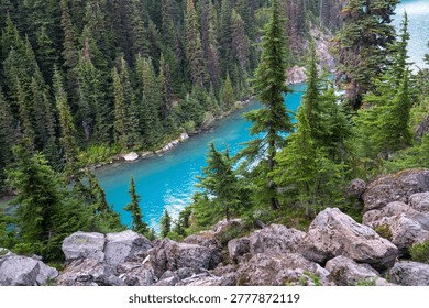 A river flows through a forest filled with green trees and large rocks under bright sunlight. The water shows a blue color as it moves past the landscape.