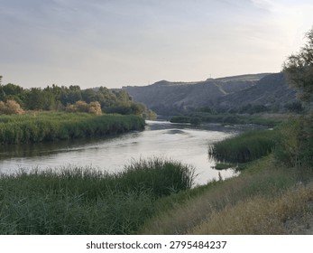A river flows through a grassy area with trees on both banks. The landscape is lush and green with hills in the background. It is late afternoon with soft light over the scene.