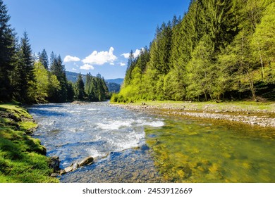 river flows through the valley of carpathian mountains. shallow water reveals stones. synevyr national park of ukraine. beautiful landscape in spring on an sunny morning - Powered by Shutterstock