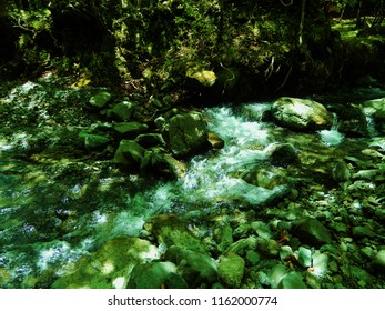 river in forest