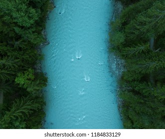 River in the forest