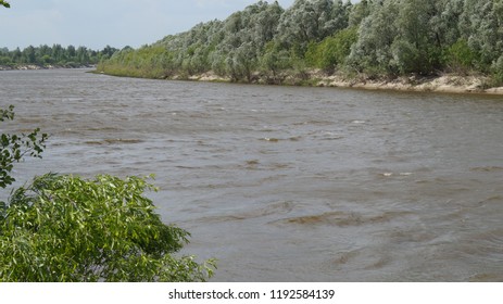 river in forest
