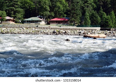 river and forest