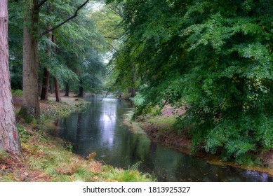 A river in a forest