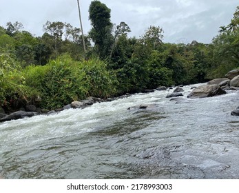 A river in the forest
