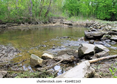 River in forest