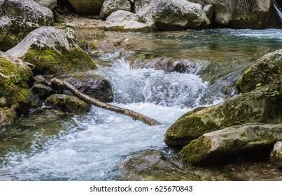 River in the forest