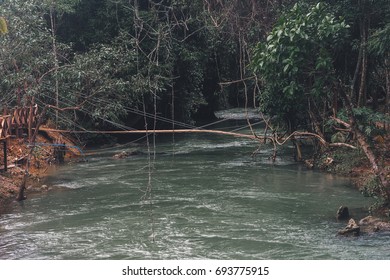 River in the forest.