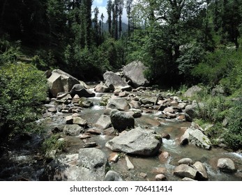 river in forest