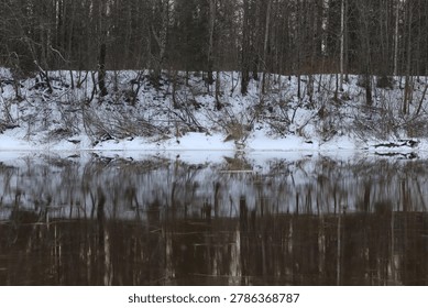 a river in the forest at the beginning of winter
