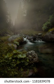 The River Is In The Forest With Fog, Melancolic And Drammic Representation