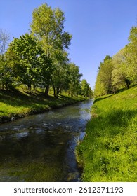river in the forest with green trees and blue sky