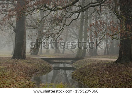 River in a forest park. Modern wooden bridge (boardwalk). Autumn colors, fog, mist, overcast day. Mighty trees, dry plants, green grass, moss, golden leaves. Early spring. Reflections on water