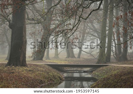 River in a forest park. Modern wooden bridge (boardwalk). Autumn colors, fog, mist, overcast day. Mighty trees, dry plants, green grass, moss, golden leaves. Early spring. Reflections on water