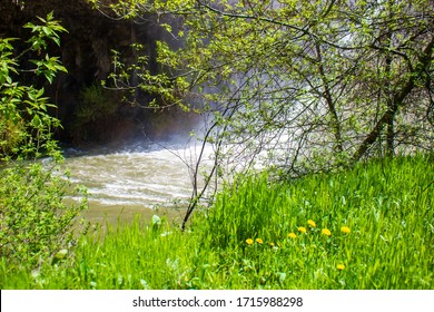 river in the forest, stream in the forest, water flowing into the forest, water flowing into the river, waterfall in the morning
