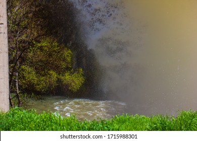 river in the forest, stream in the forest, water flowing into the forest, water flowing into the river, waterfall in the morning