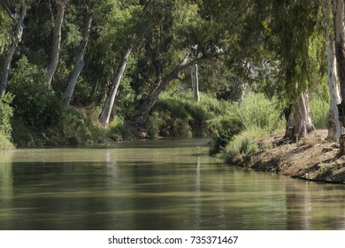 River In The Forest, Yarkon Park, Israel