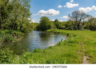 River Gade On Croxley Moor, Rickmansworth, England