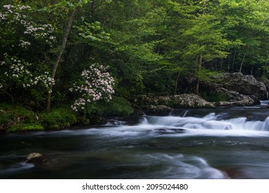 A River In Great Smoky Mountains National Park