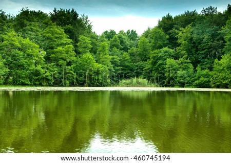 River and green forest