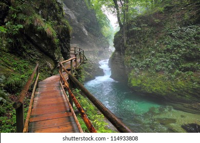 River in green forest in Canyon Vintgar, Triglav - Slovenia - Powered by Shutterstock