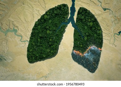 River and green forest lungs with fire in the desert. Global warming concept. Burning forests and polluting the environment. Pneumonia idea
