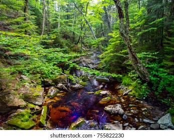 River In Green Mountains, Vermont