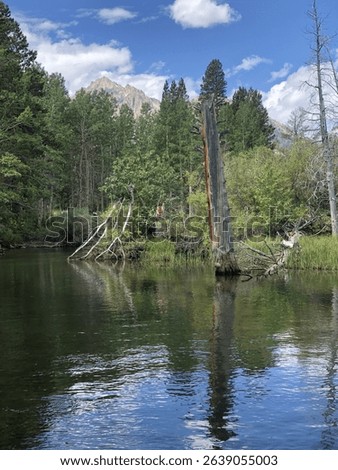 River with greenery and a tree stump.