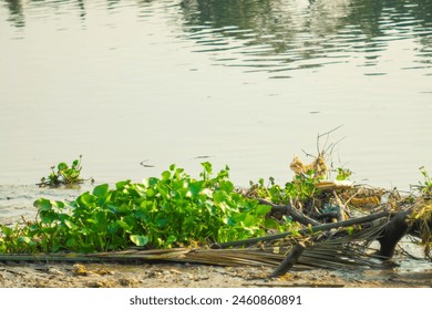 The river has two distant banks, the river water is cool and fresh, surrounded by rows of leafy trees, the dike is higher than the river bed.Men sitting on rock formation over river - Powered by Shutterstock