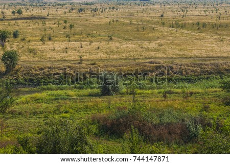 The river hid in the grass
