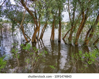 River, hills, trees and fields.