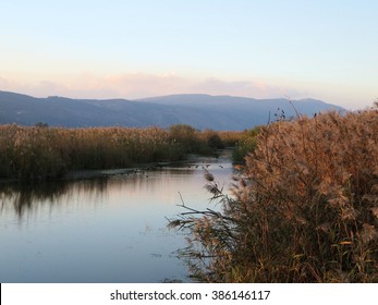 River At Hula Valley