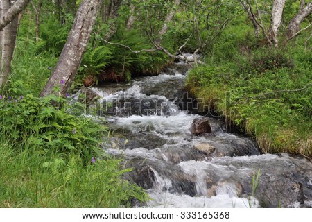 The river in Innerdalen valley, Norway