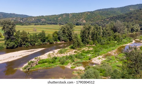 River Island On South Morava, Serbia