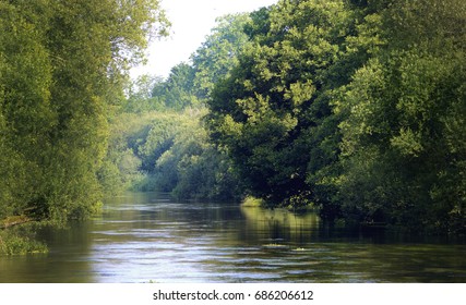 River Itchen, Ovington UK