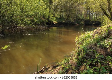 River landscape