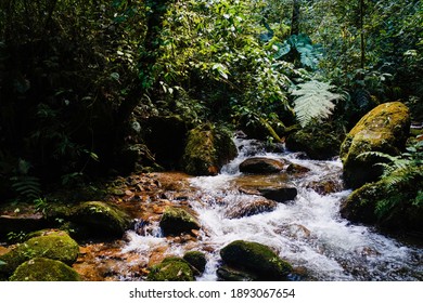 River Landscape In The Colombian Jungle