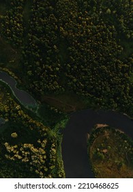 River Landscape Dron Forest Background