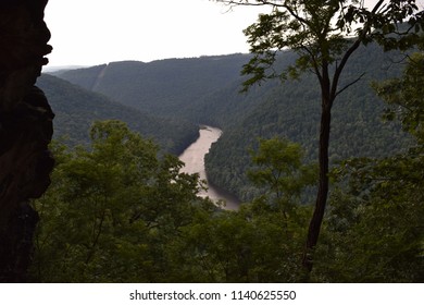 River landscape in the Forest