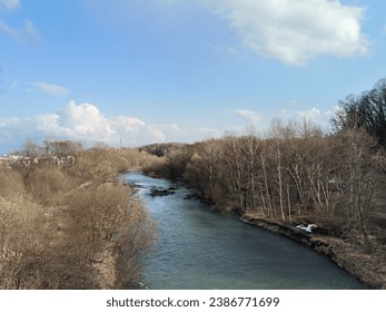 river with leafless tree on each side 