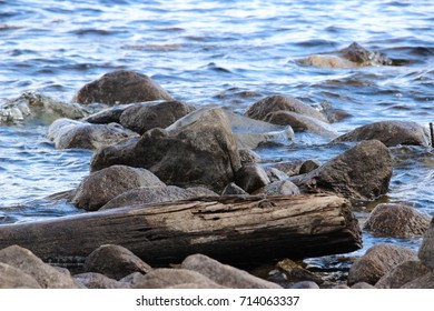 River Logs