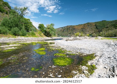 River with low water level, upper middle rhine valley near Kaub, Germany, dry riverbed due to extreme drought in Europe, impact freight transport and hinder shipping