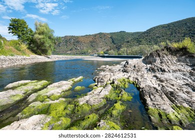 River with low water level, upper middle rhine valley near Kaub, Germany, dry riverbed due to extreme drought in Europe, impact freight transport and hinder shipping