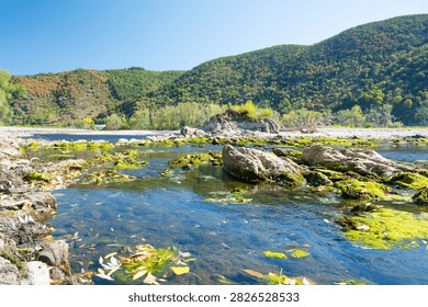 River with low water level, upper middle rhine valley near Kaub, Germany, dry riverbed due to extreme drought in Europe, impact freight transport and hinder shipping
