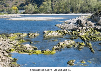 River with low water level, upper middle rhine valley near Kaub, Germany, dry riverbed due to extreme drought in Europe, impact freight transport and hinder shipping