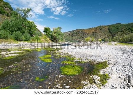 River with low water level, upper middle rhine valley near Kaub, Germany, dry riverbed due to extreme drought in Europe, impact freight transport and hinder shipping